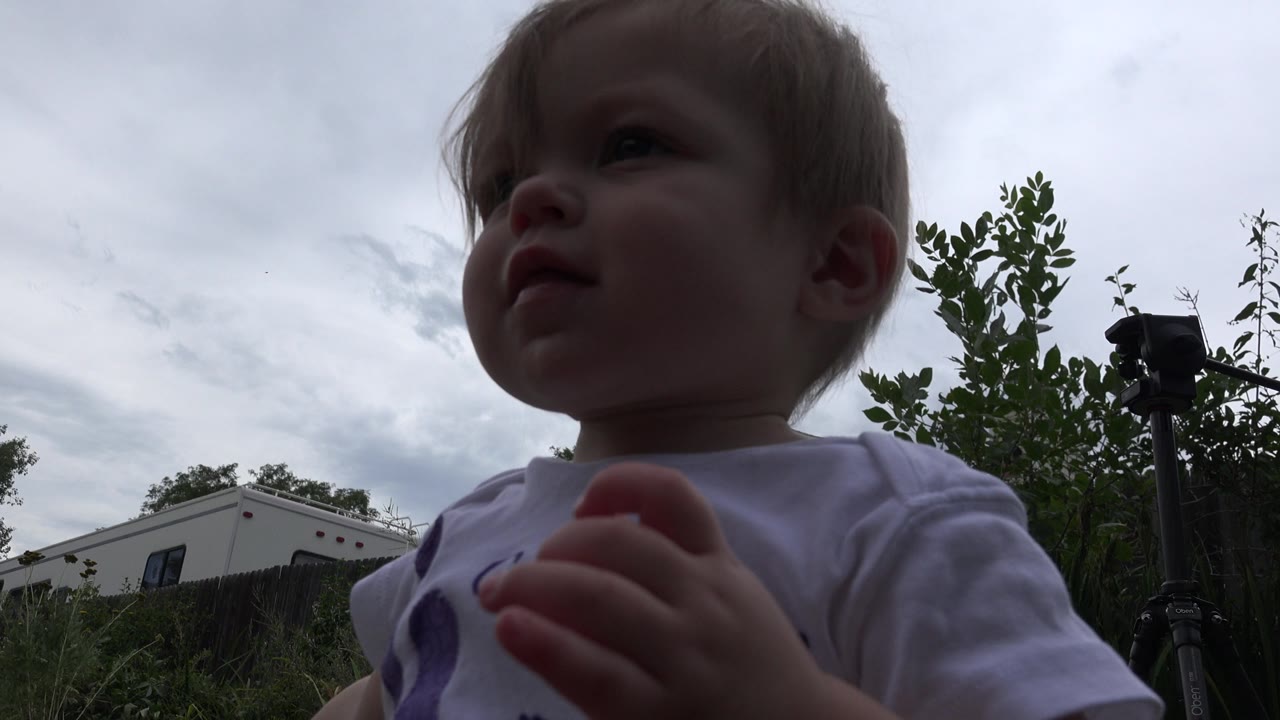 Toddler reaches a hand toward the camera outdoors.