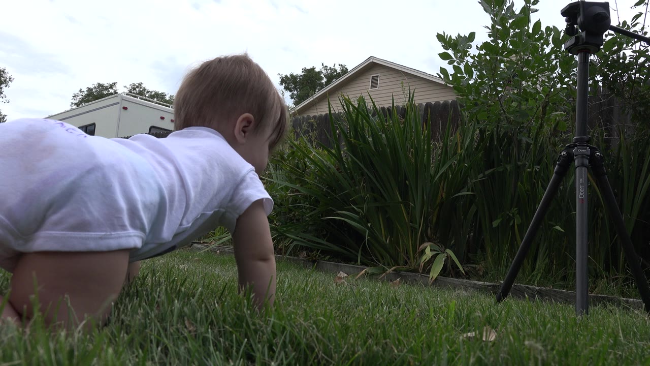 Baby crawling in grass beside a tripod in a backyard.
