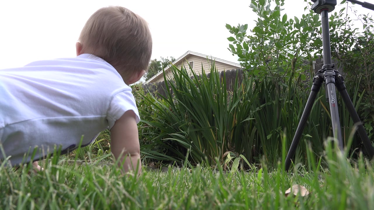 Baby in a white shirt low in grass beside a tripod and shrubs.