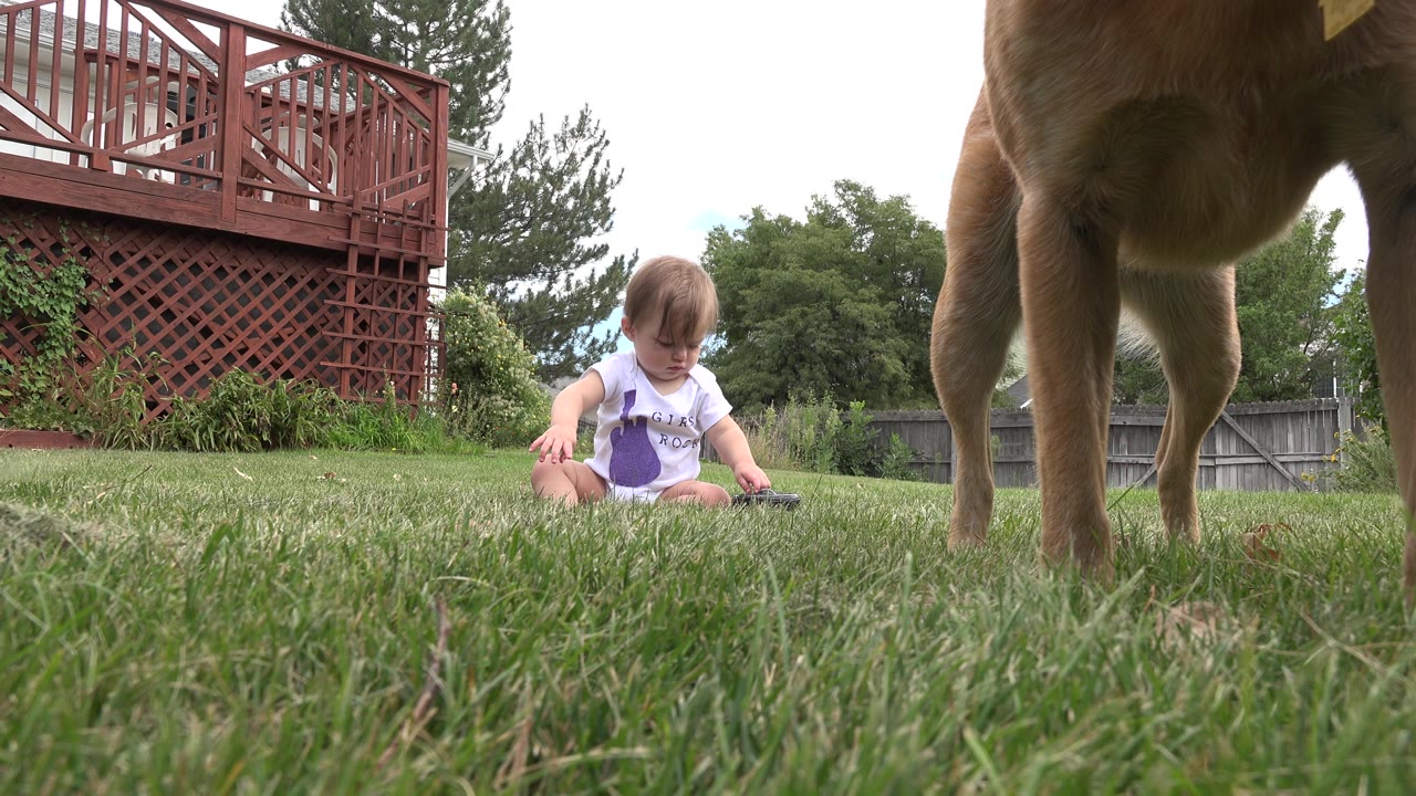 At 0:01 in Westminster, Colorado, the child remains seated on the grass with the tan dog's legs and body dominating the near foreground beside the red deck.