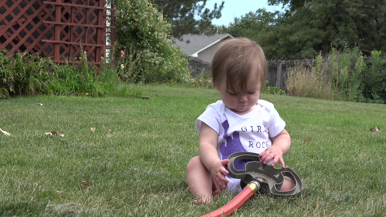 A toddler sits on a Westminster, Colorado lawn at the start of the clip, looking down while touching a dark garden shower head connected to a red hose.