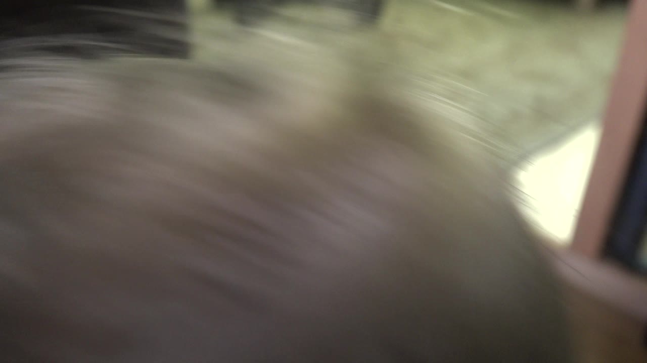 Blurred close view of a child's hair near a patterned living room rug.