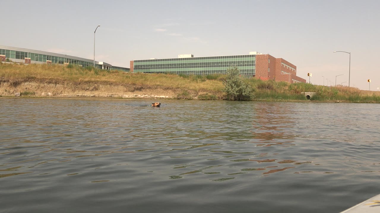 At Hidden Lake, Colorado, the dog's head sits low in the water below a long green-windowed building, with small waves across the foreground and no visible people.