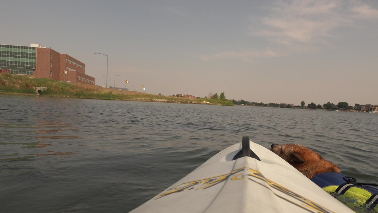 At Hidden Lake, Colorado, a brown dog in a blue and yellow life vest swims close to a white kayak bow, with rippled water, grassy shore, a brick-and-glass building, and no visible people.