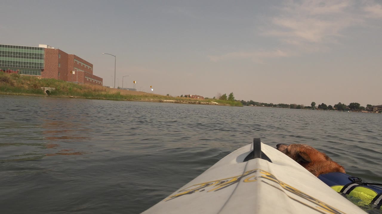 At Hidden Lake, Colorado, the dog continues swimming near the kayak bow as small waves cross the foreground and the long building remains across the grassy shore, with no visible people.