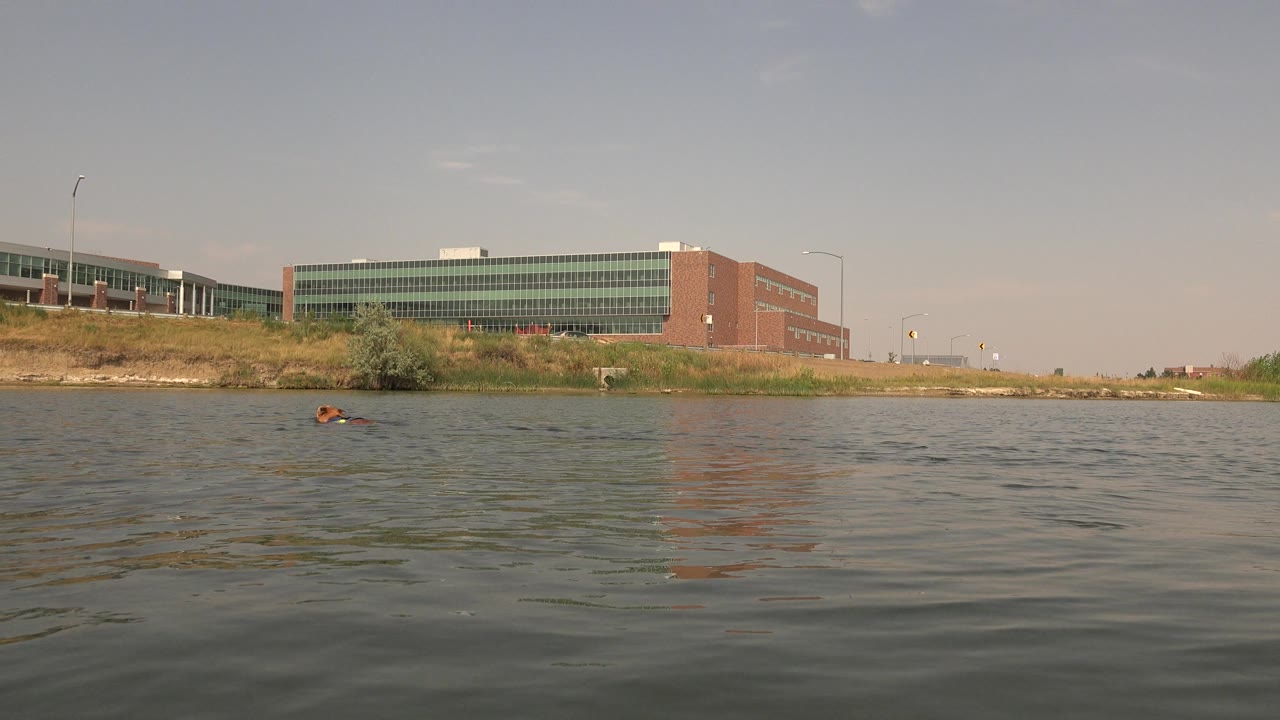 At 0:00, a dog swims near the left side of the water at Hidden Lake, Colorado, with ripples in front, a grassy bank behind, a modern building across the shore, and no visible people.