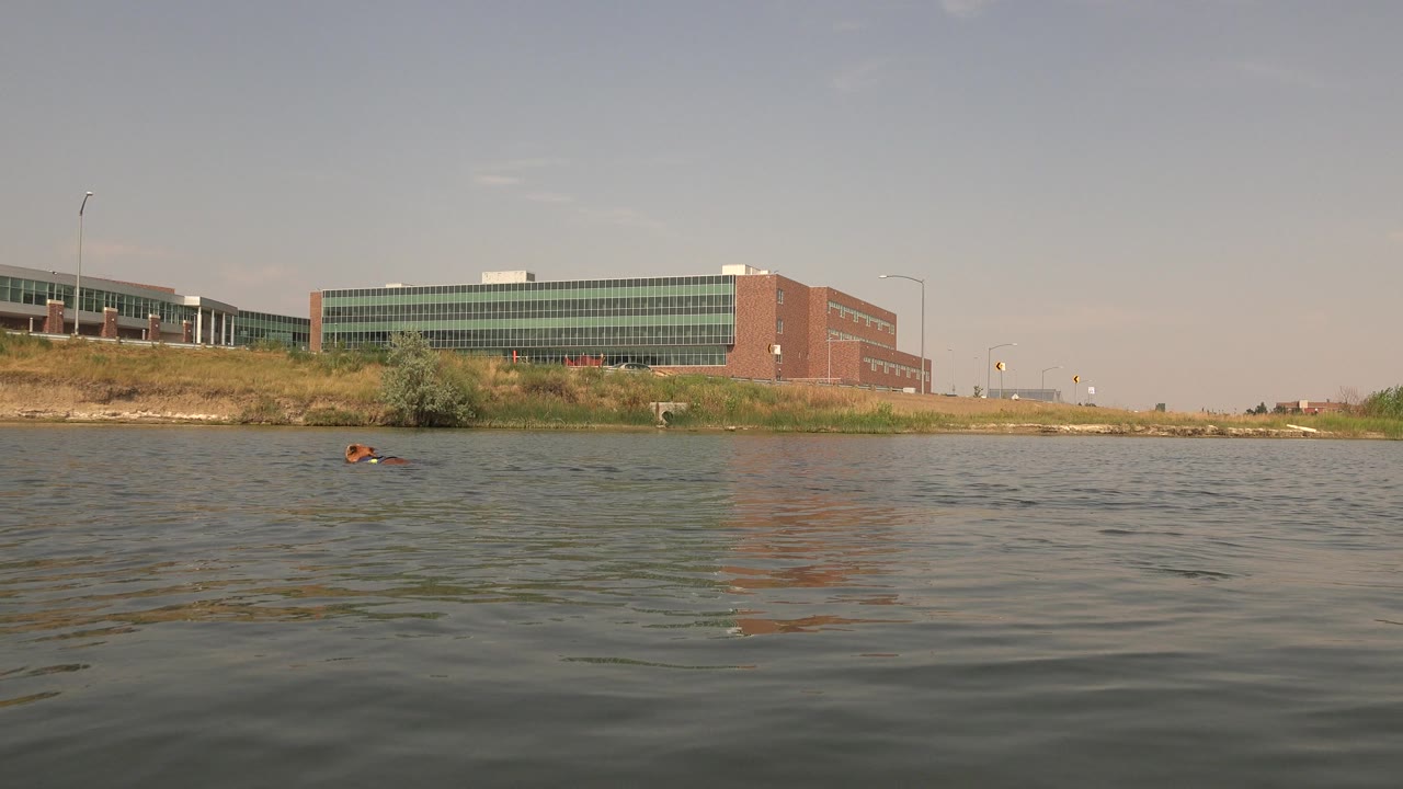 At 0:01, the dog is farther across the rippled water at Hidden Lake, Colorado, below the long glass-fronted building and grassy bank, with no visible people in frame.