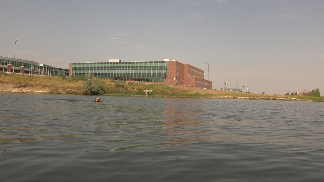 At Hidden Lake Colorado, the dog remains near the middle of the frame as small waves cross the foreground and the shoreline building sits behind it, with no visible people.