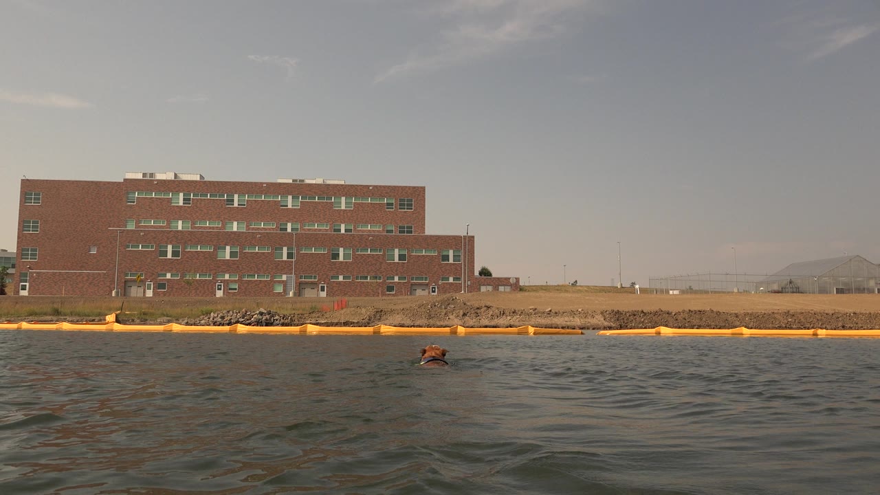 Brick building across rippling water with yellow shoreline barrier.