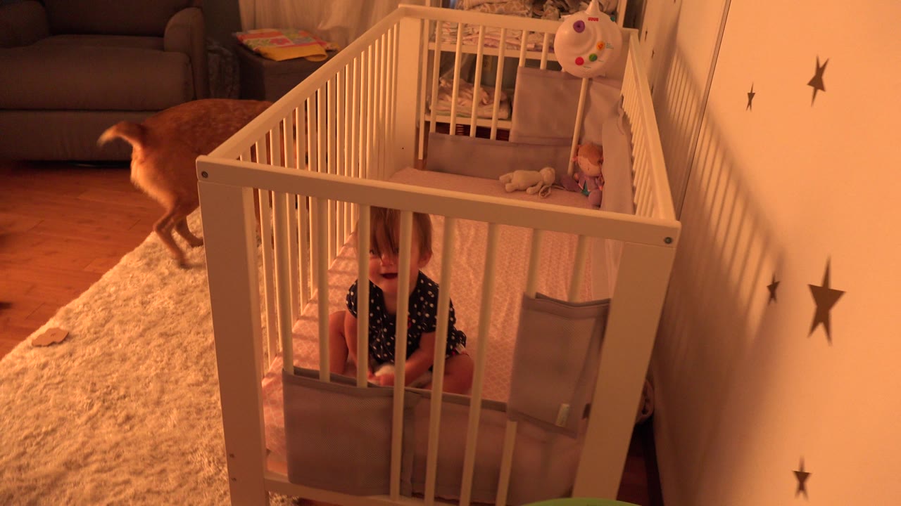 Baby in crib as the brown dog turns away near the rug.