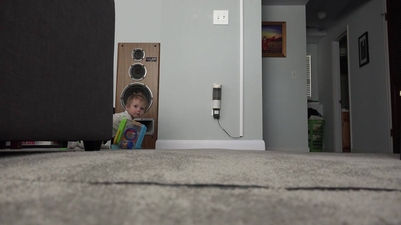 At 0:01 in Westminster, Colorado, the baby remains beside the speaker, looking toward the camera area with the toy propped in front on the carpet.