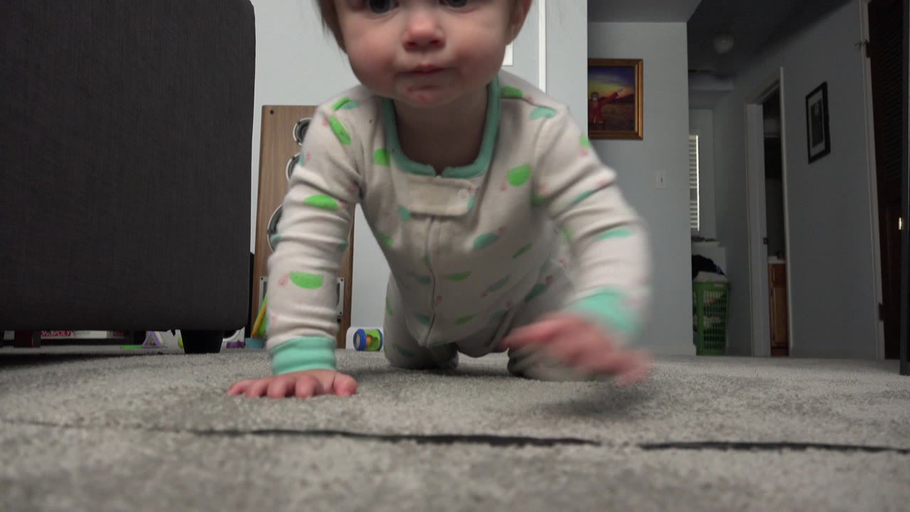 The baby crawls nearer to the lens in the Westminster, Colorado interior, with one hand blurred over the gray carpet and the sofa edge still at left.