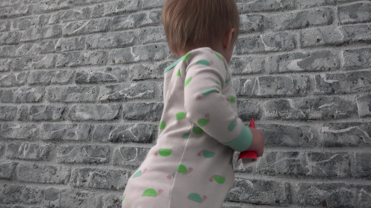 At 0:00 in Westminster, Colorado, a toddler is viewed mostly from behind near a grey brick wall while holding a red object at chest height.