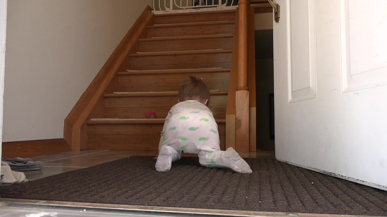 A baby remains on hands and knees in the Westminster, Colorado entryway, centered low in frame with the wooden staircase ahead and the open door along the right side.