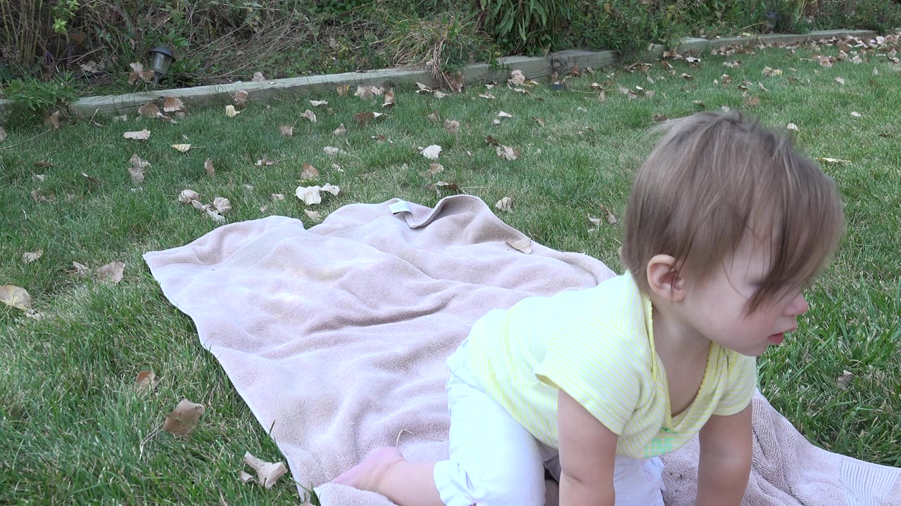 Baby on a blanket in a grassy yard.