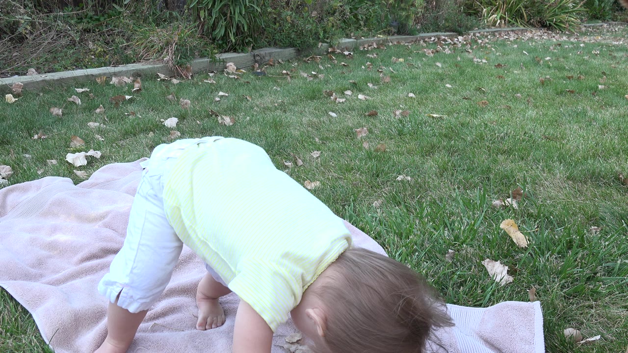 In Westminster, Colorado, a toddler in a pale yellow shirt bends forward on a light blanket spread over green grass, with shrubs and fallen leaves behind her.