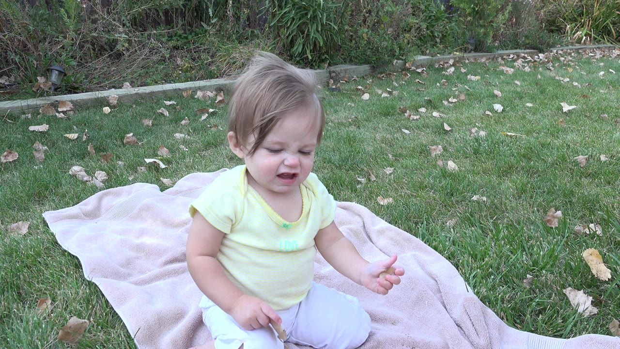 A toddler in a pale yellow shirt sits near the left side of a pink blanket on a green lawn in Westminster, Colorado, with shrubs and scattered leaves behind her.
