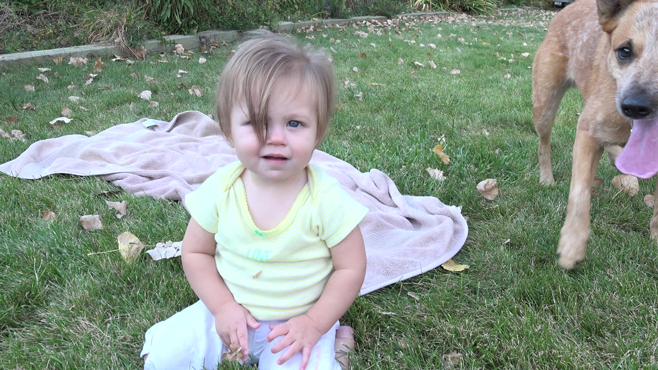 Baby seated on lawn with dog partly entering at right.