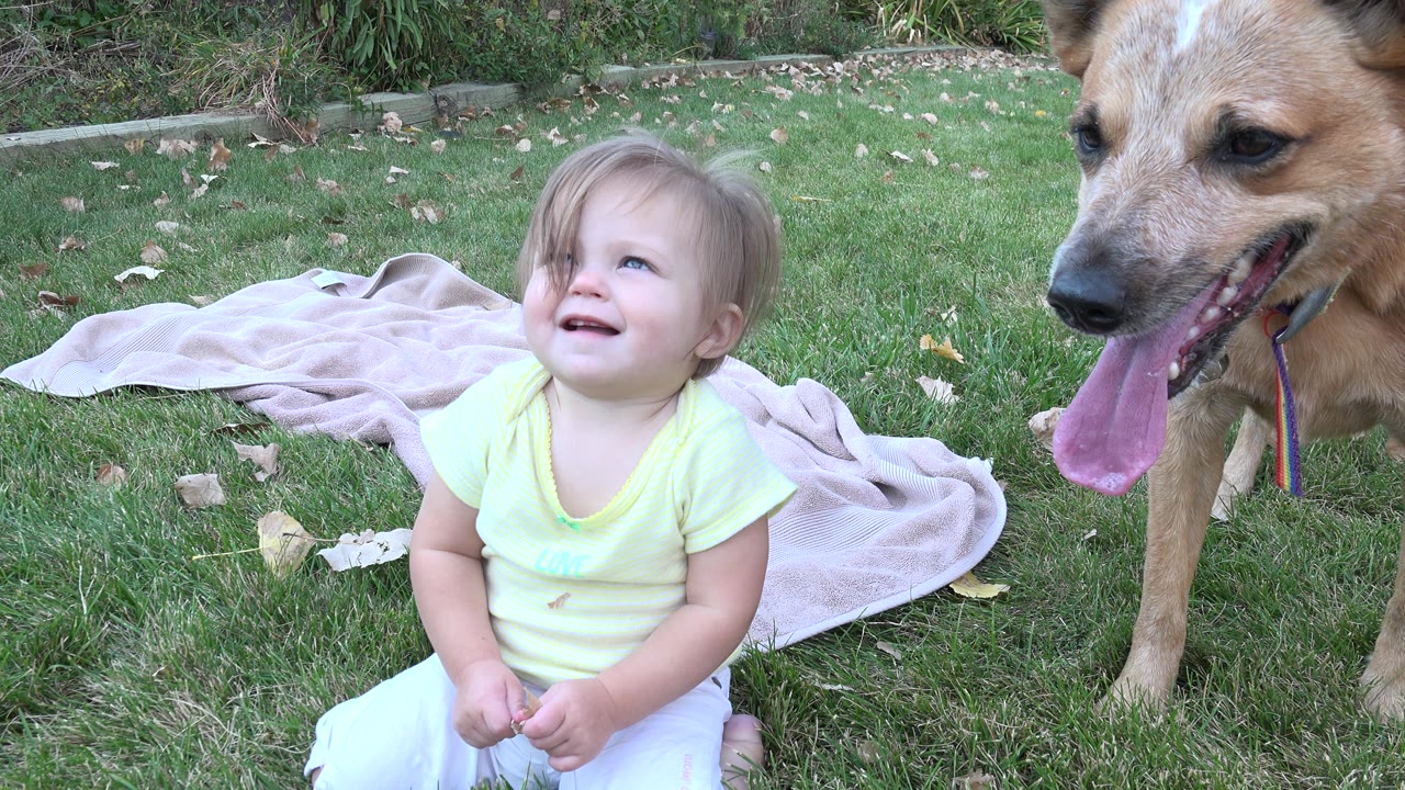 Young child sitting on grass beside a panting tan dog.