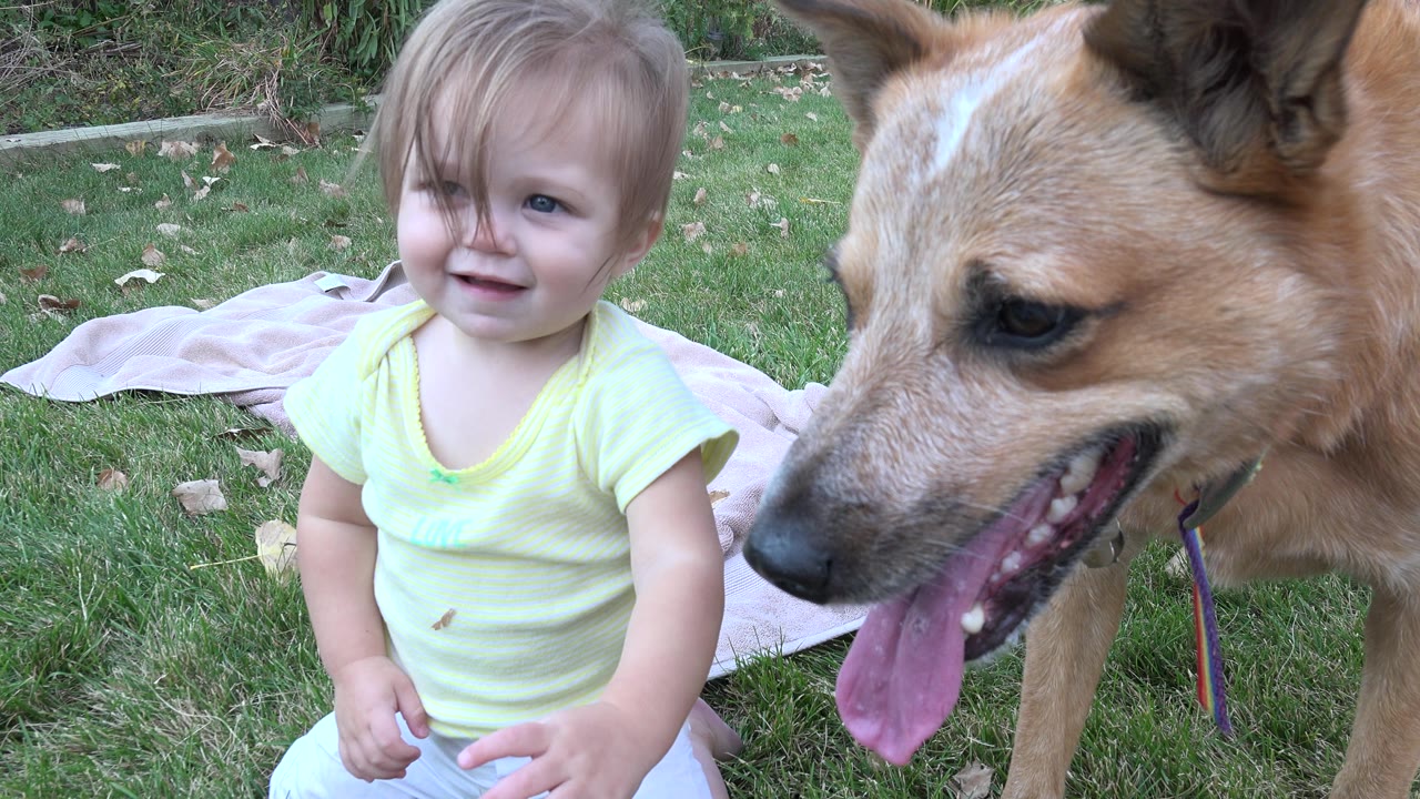 Toddler facing camera beside a panting dog.