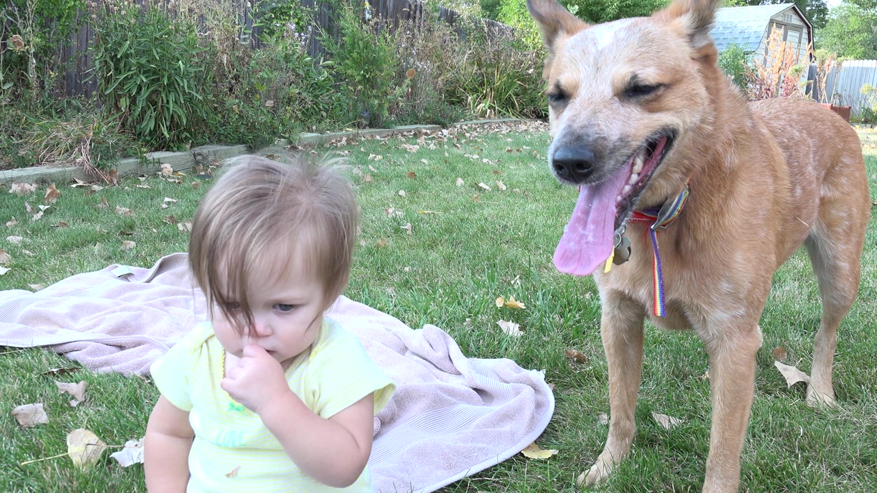 Child sits near a standing dog with the dog panting.