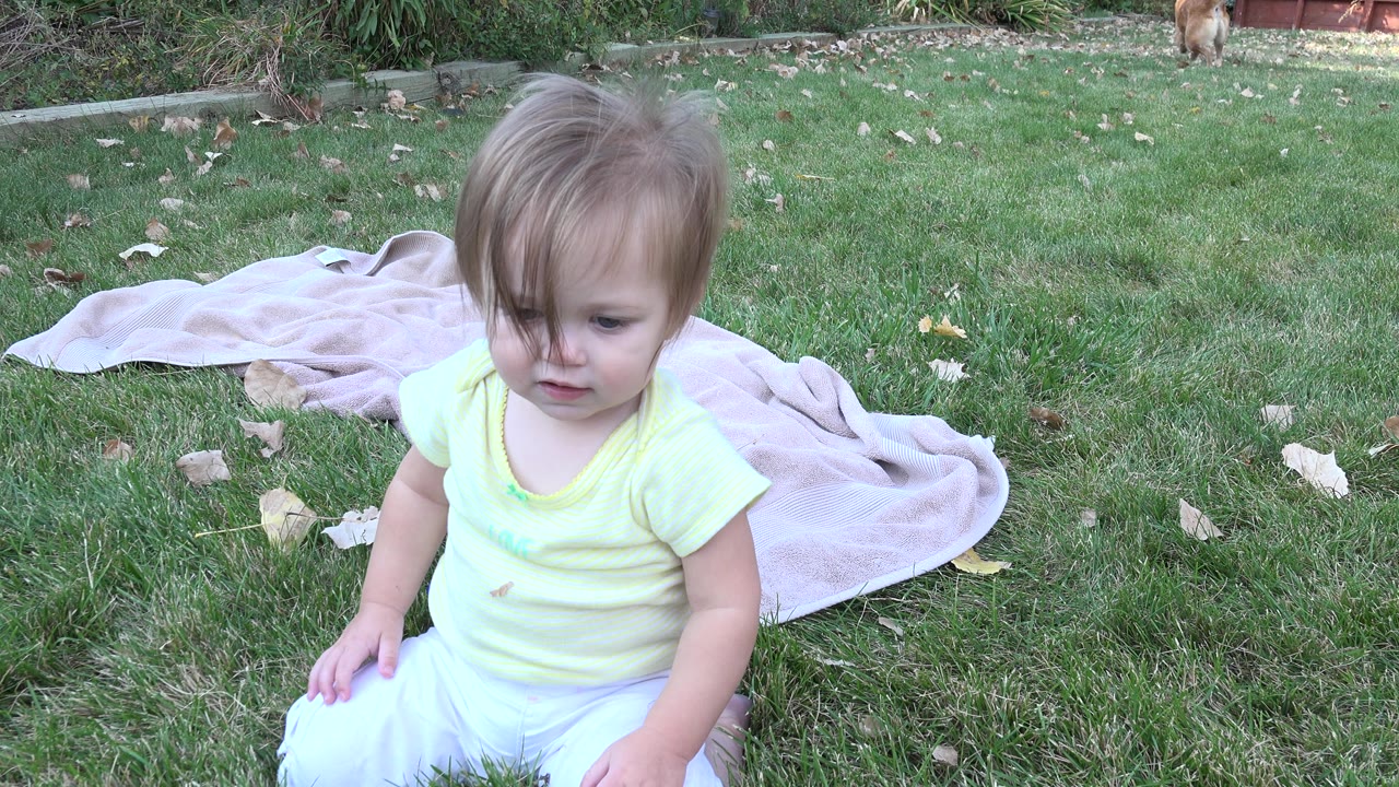Baby seated beside a blanket as the dog appears at the far edge of the yard.
