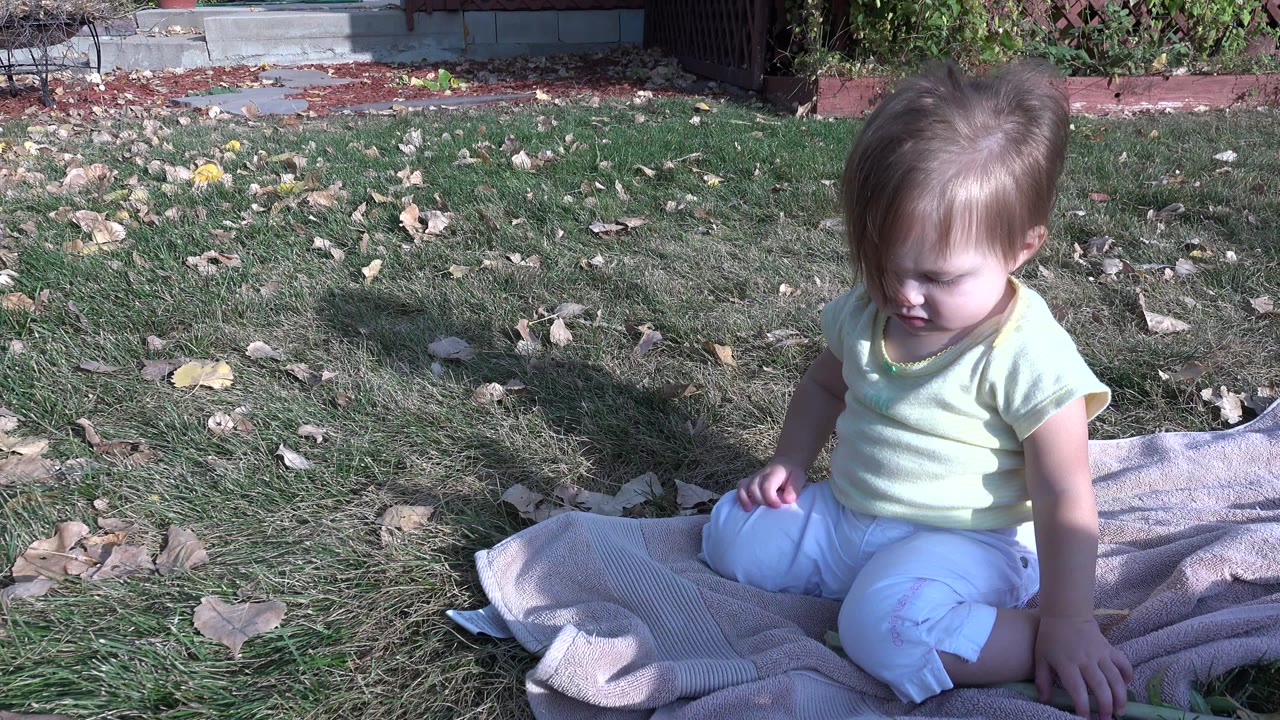 Baby sitting on a blanket in a grassy yard with fallen leaves.