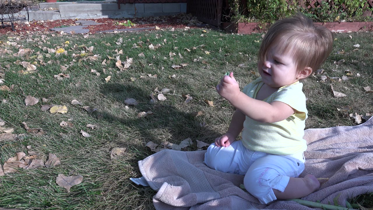 Young child sitting on a blanket in a grassy yard holding a leaf.