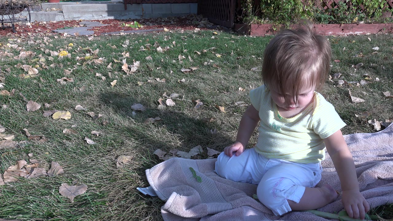 A blond toddler sits on a light blanket in a Westminster, Colorado yard, looking down toward the fabric while dry leaves dot the grass around him.