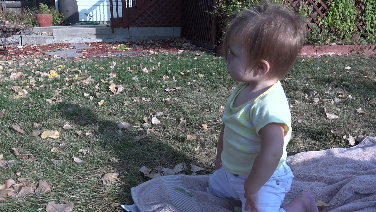 At the start of the Westminster, Colorado clip, a young child sits near the right edge on a towel in a sunlit grassy yard with dry leaves and garden fencing behind.