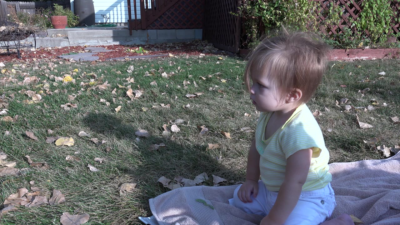 Baby sitting on a blanket on grass in a backyard.