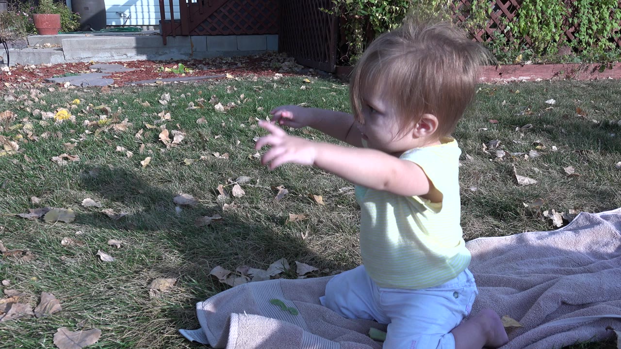 Baby girl in Westminster, Colorado sits on a blanket on grass with both arms lifted, fallen leaves and backyard plants behind her.