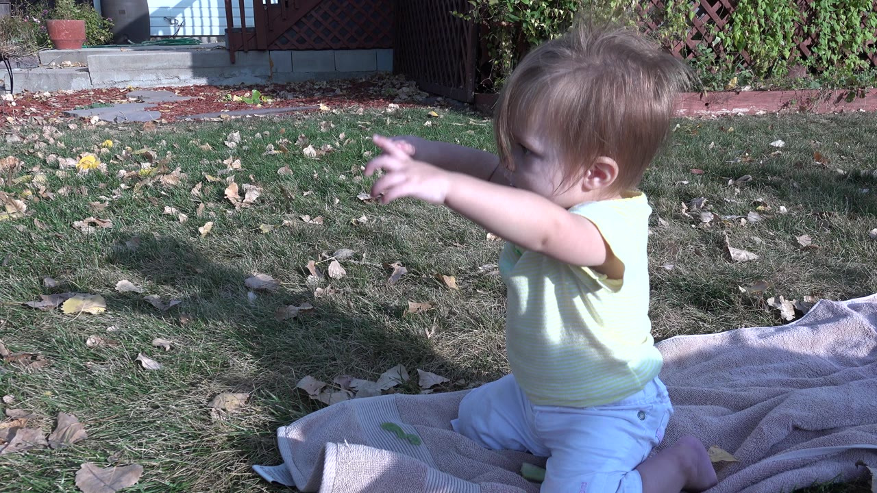 Baby girl in Westminster, Colorado reaches forward from a blanket on the lawn, with dry leaves and a shaded backyard fence area in view.