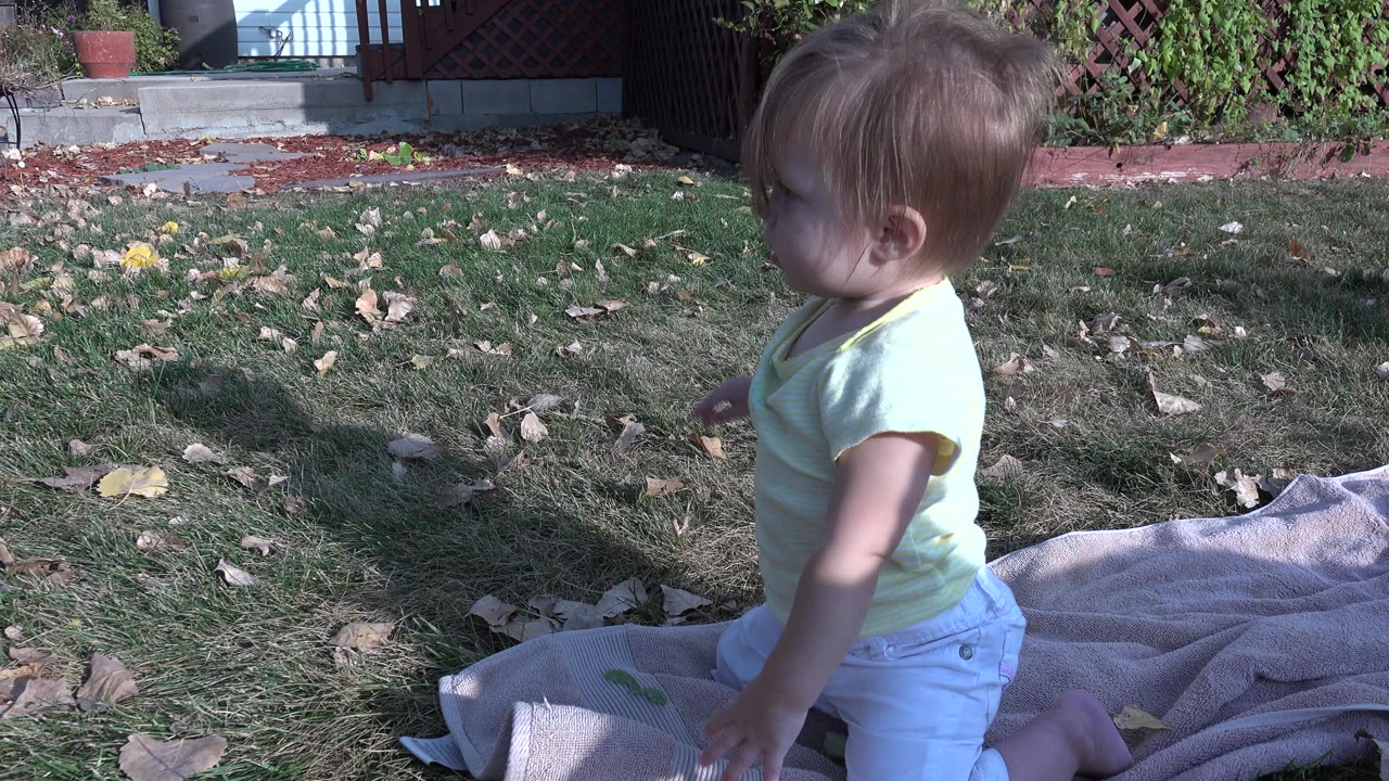 Baby girl standing or kneeling beside a blanket in the backyard.