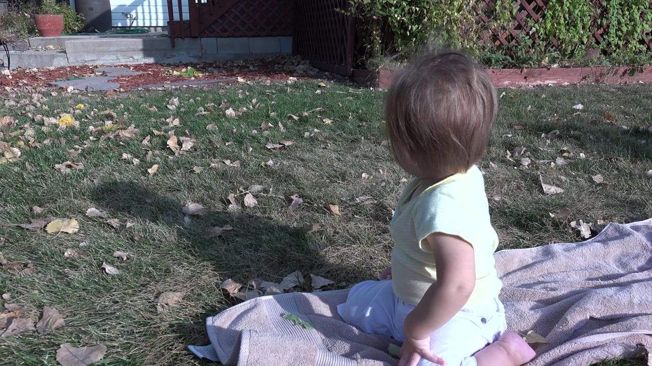 Toddler seen from behind sitting on a tan blanket in a grassy yard.