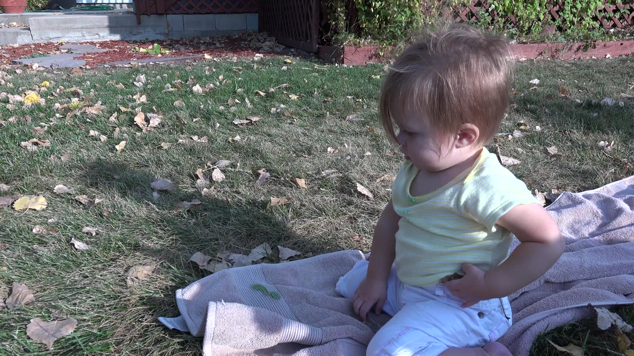 Baby sitting on a towel in grass near scattered leaves.