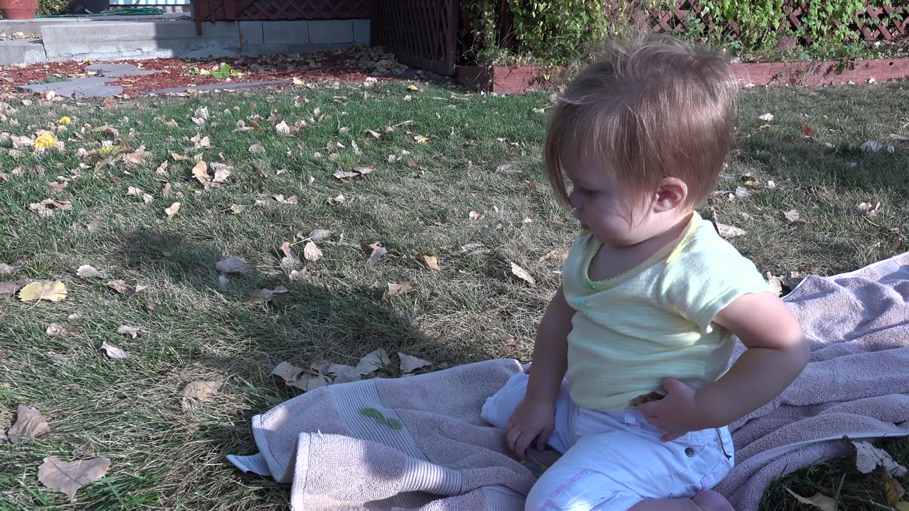 The baby remains seated on the towel in the Westminster, Colorado yard, looking left while sunlight falls across the patchy grass and leaves.