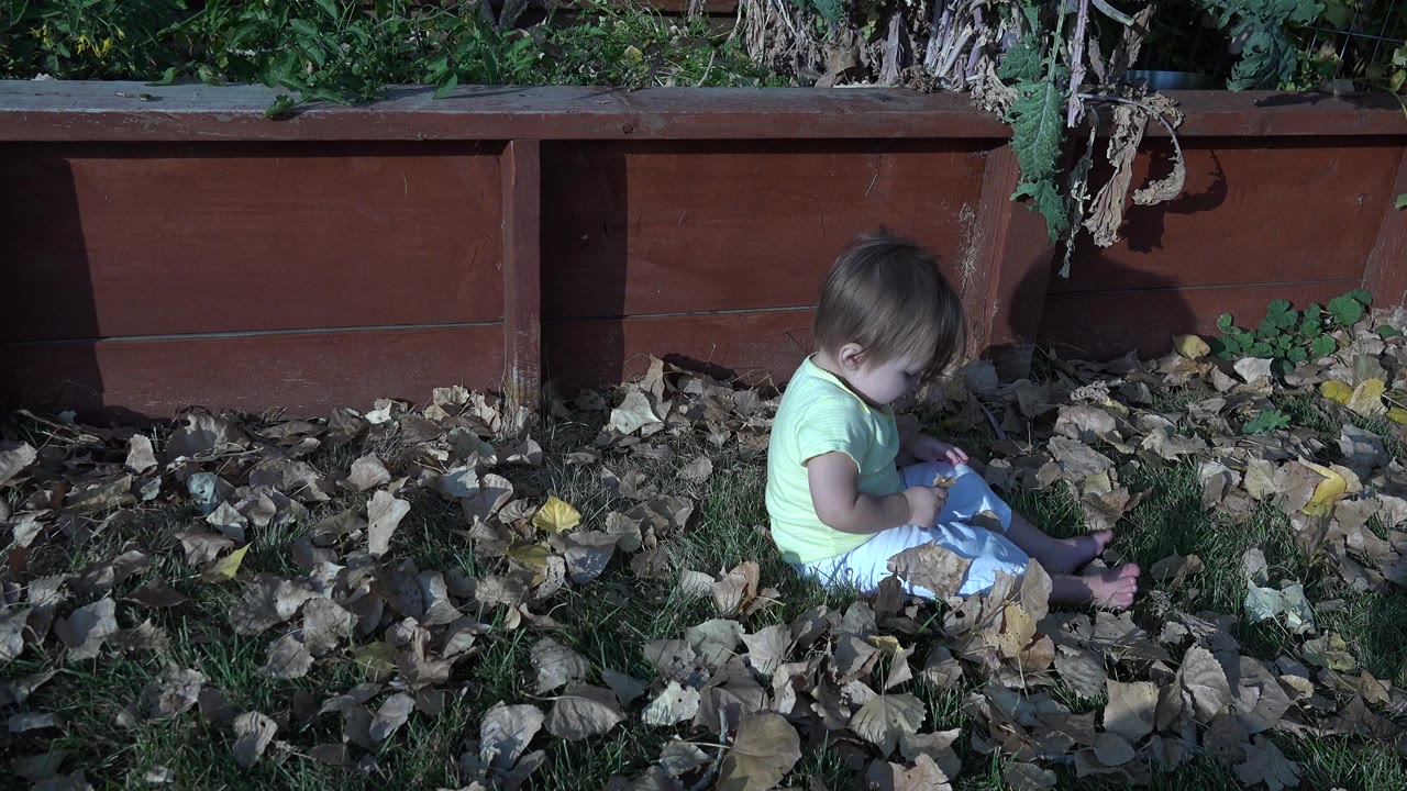 Baby sitting in dry leaves beside wooden planters.