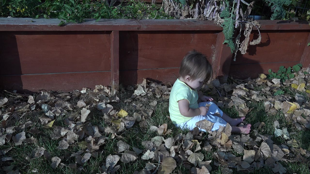 The child remains seated near the planter boxes in Westminster, Colorado, with one bare foot visible and dry leaves filling the foreground.