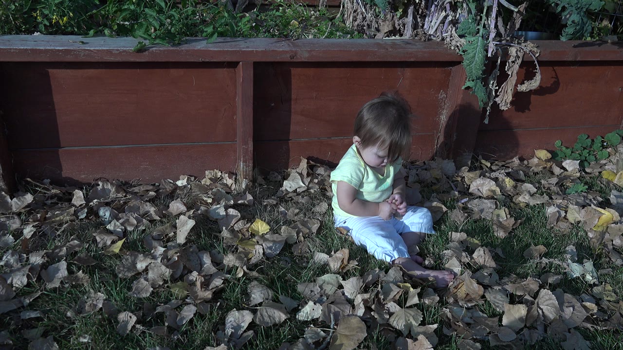 Baby sitting among dry leaves beside a red wooden planter.