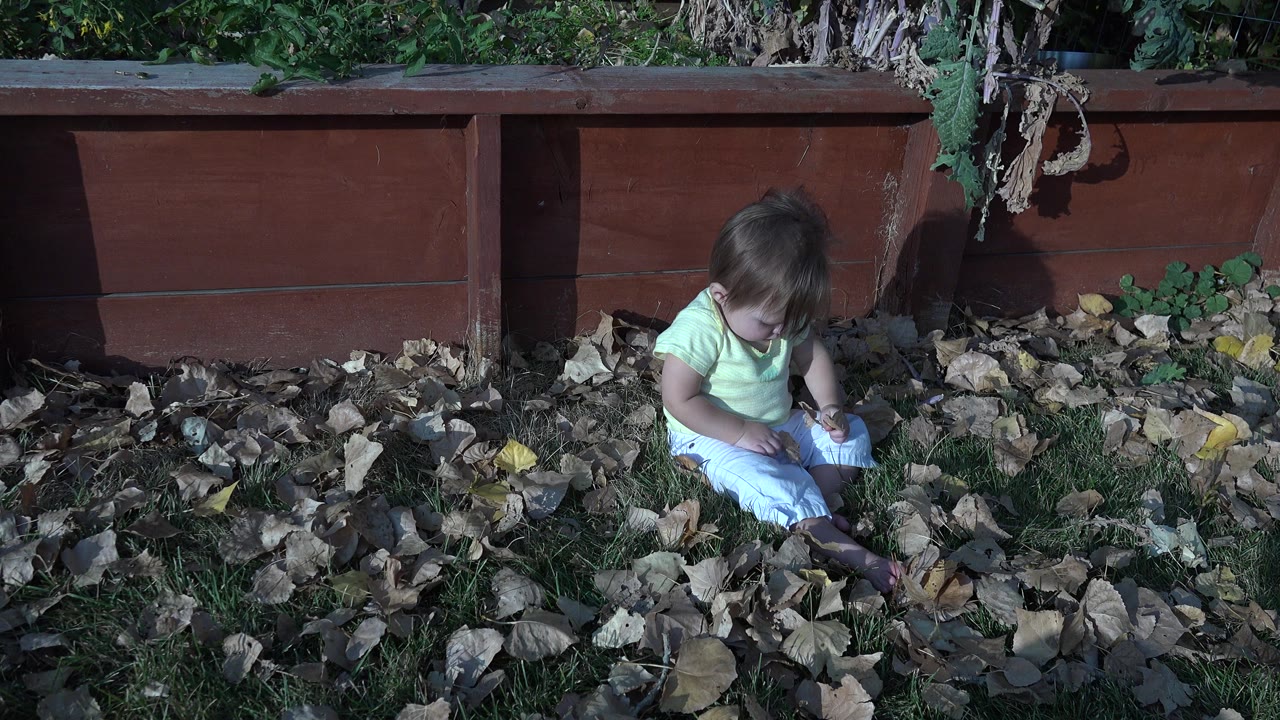 A baby in Westminster, Colorado sits in a pile of dry leaves beside grass and a red-brown backyard planter at the start of the clip.