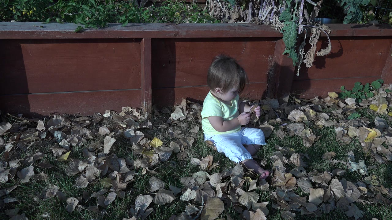 Small child sitting in leaves beside a reddish wooden planter.