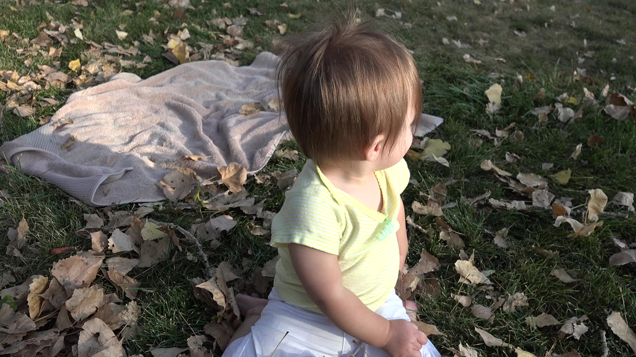 Toddler seated on grass near a towel and fallen leaves.