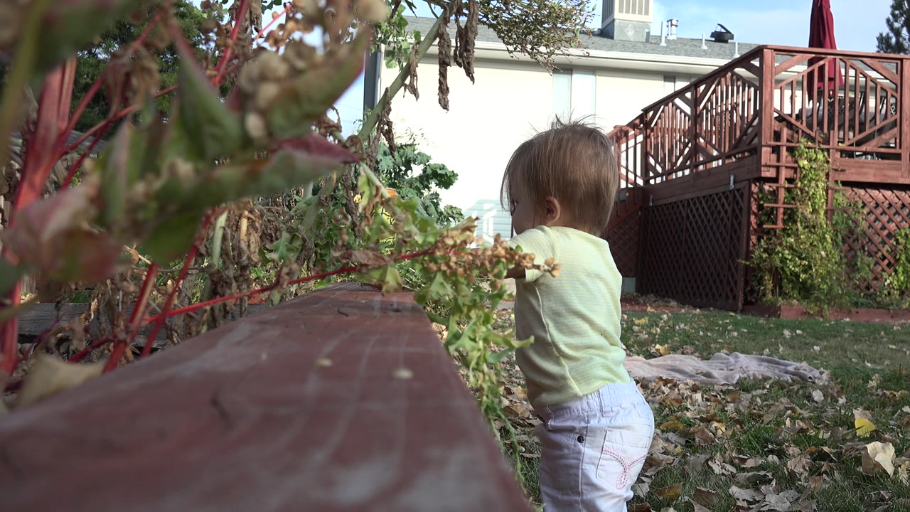 Child stands beside plants and a red-brown ledge in a backyard.