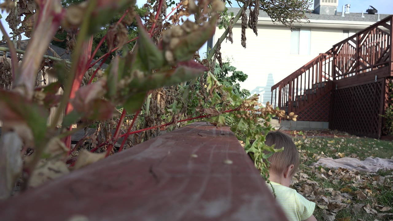 Low garden view with a child partly visible near the bottom edge.