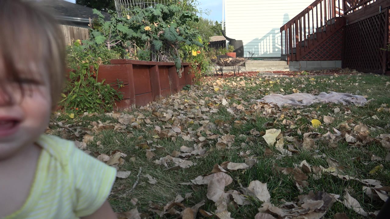 A blond baby is partly cropped at the left edge while crying near the camera in a Westminster, Colorado backyard with dry leaves, grass, planters, and a deck behind them.