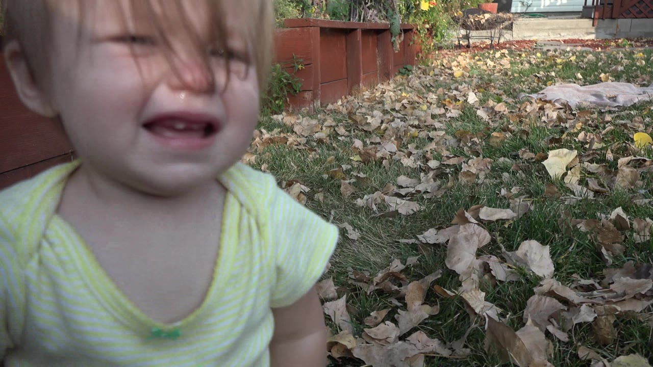 A crying blond baby appears near center foreground in the Westminster, Colorado backyard, with hair across the face, scattered leaves, grass, garden beds, and house structures behind.