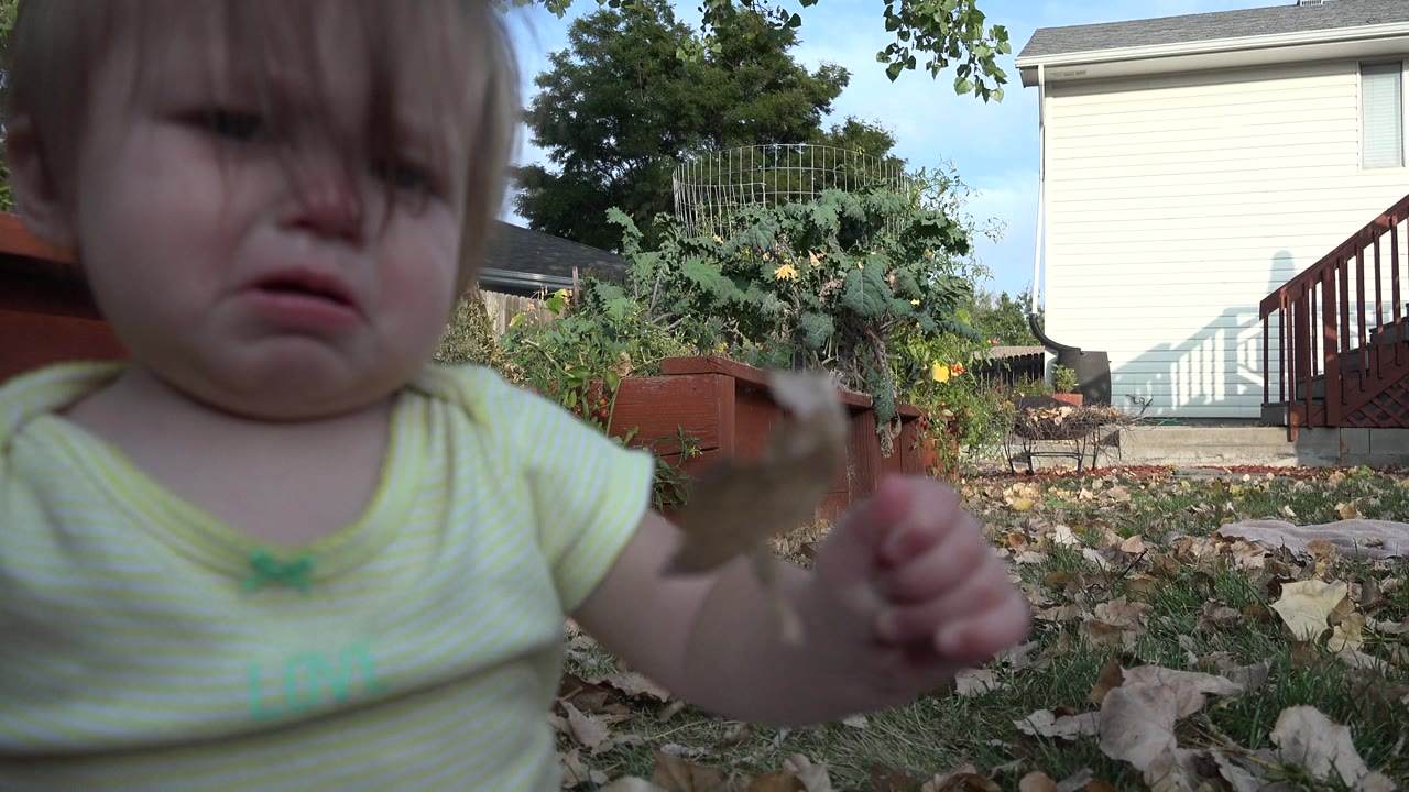 In Westminster, Colorado, the baby looks downward with a subdued expression while the leaf is held at chest height in front of garden plants and a house.