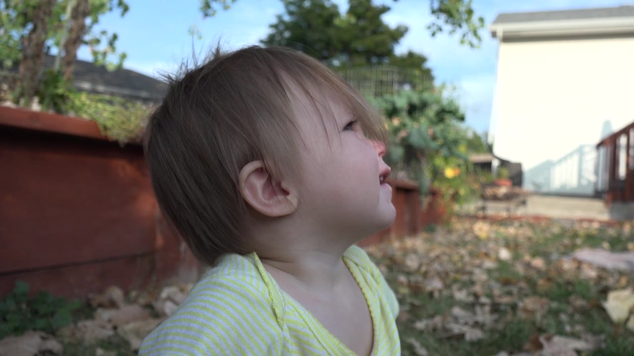 Young child looks upward beside outdoor planters and dry leaves.