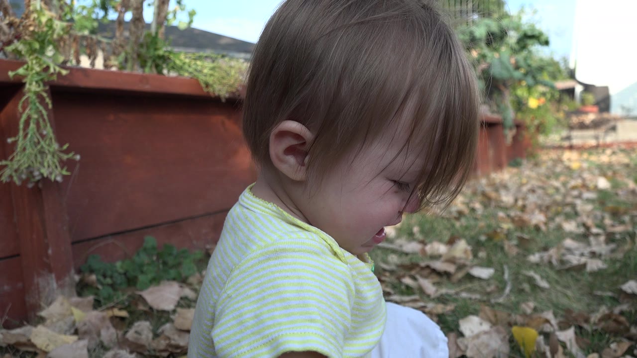 Toddler looking down beside fallen leaves in a backyard.